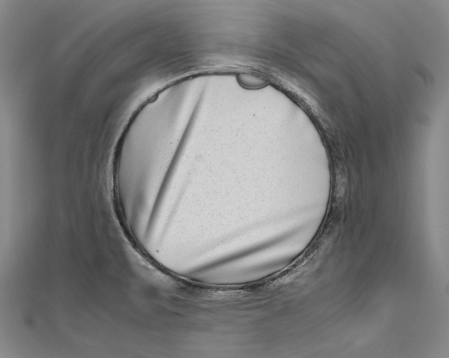 X0000111191471200907221059