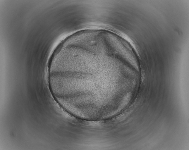 X0000111191472200907221059