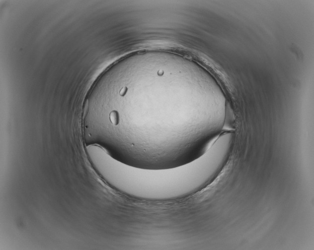 X0000111191473200907221059