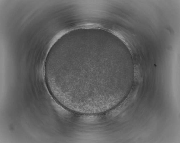 X0000111191474200907221059