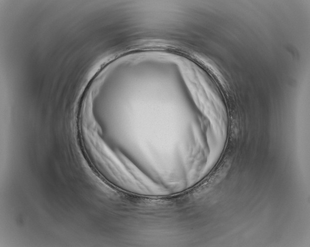 X0000111191475200907221059