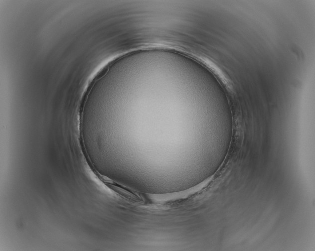 X0000111191476200907221059