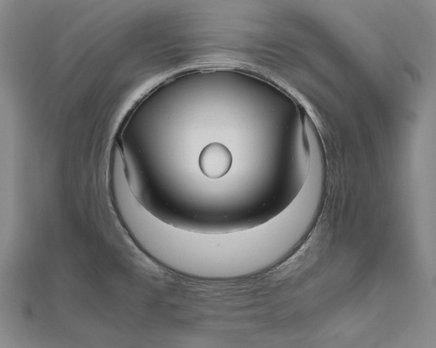 X0000111191477200907221059