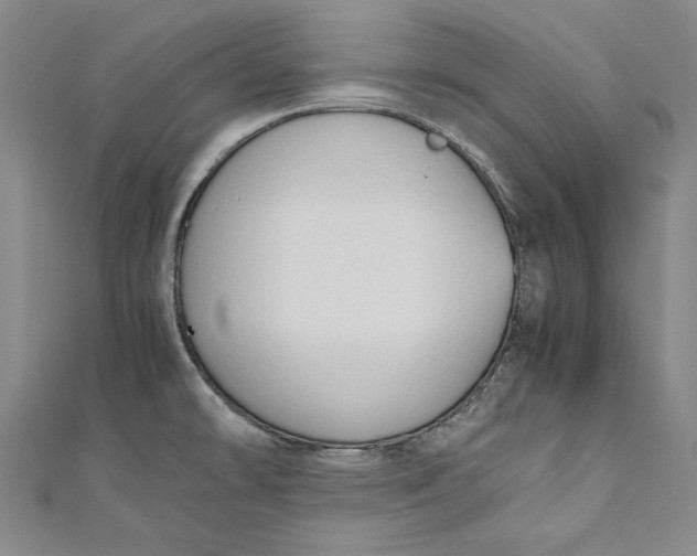 X0000111191478200907221059