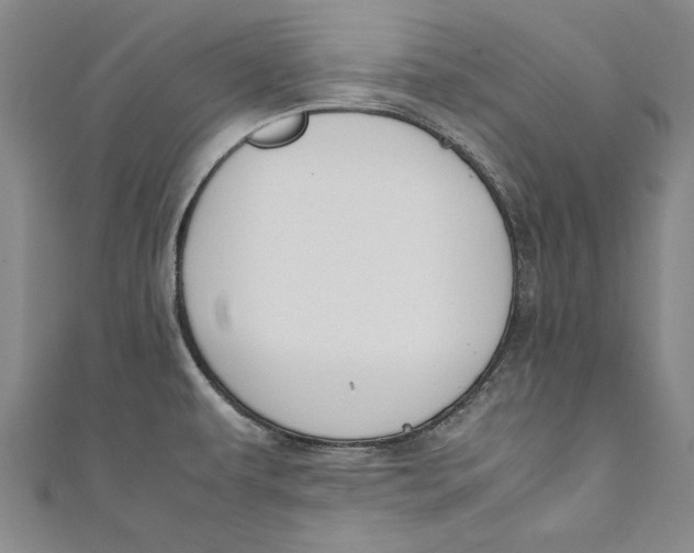 X0000111191479200907221059