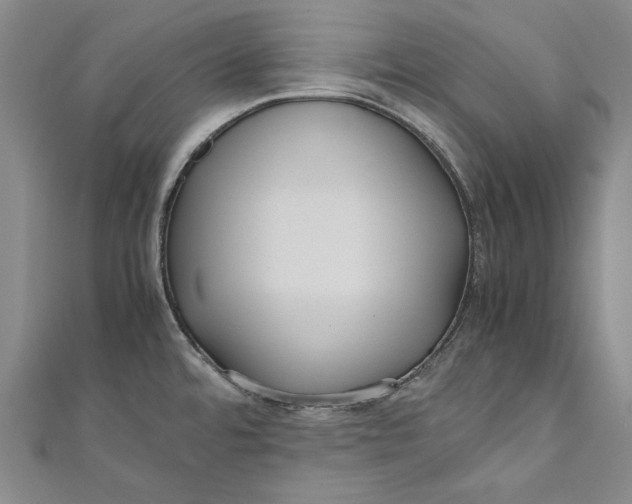 X0000111191480200907221059