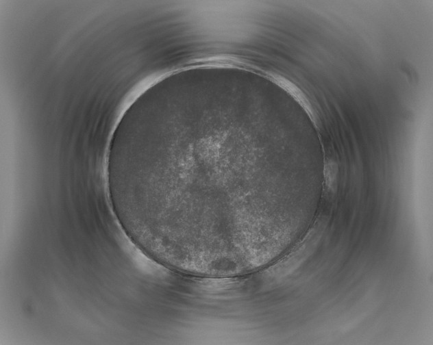 X0000111191482200907221059