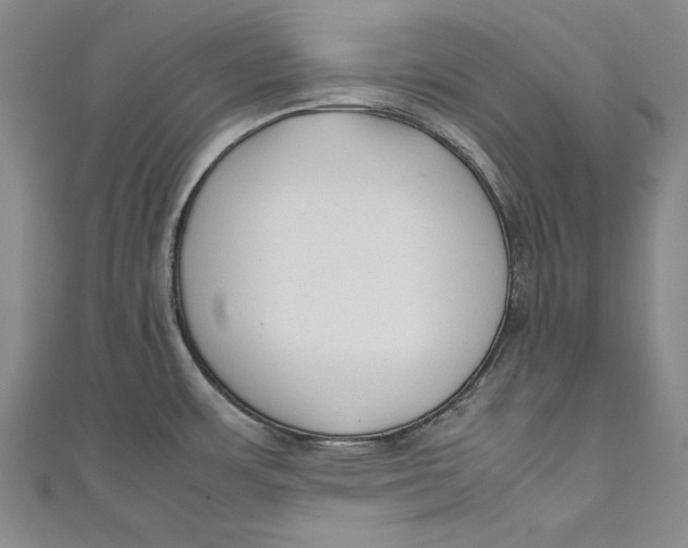 X0000111191483200907221059