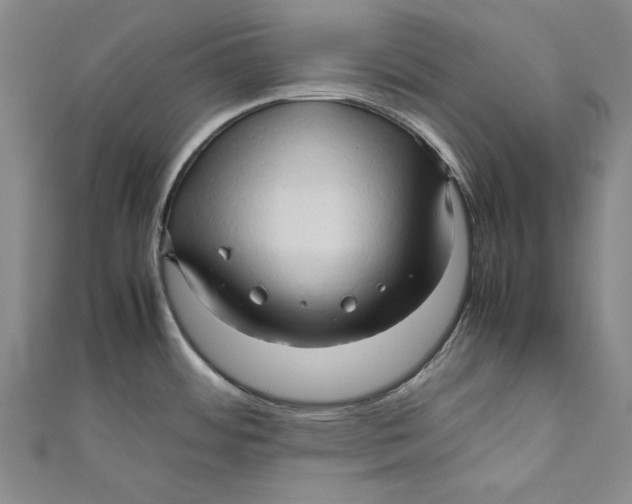 X0000111191484200907221059