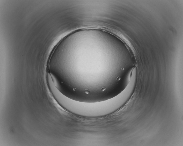 X0000111191485200907221059