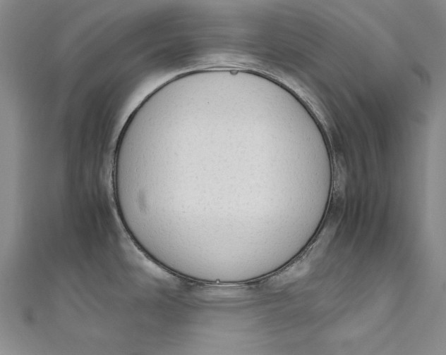 X0000111191486200907221059