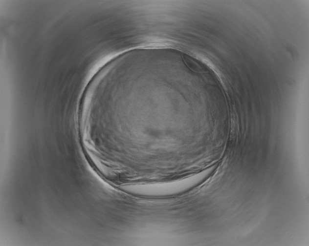 X0000111191487200907221059