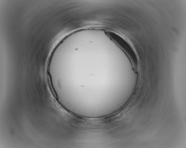 X0000111191488200907221059