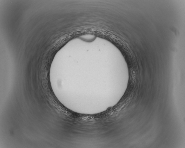 X0000111191489200907221058