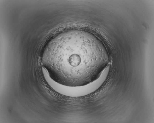 X0000111191492200907221058