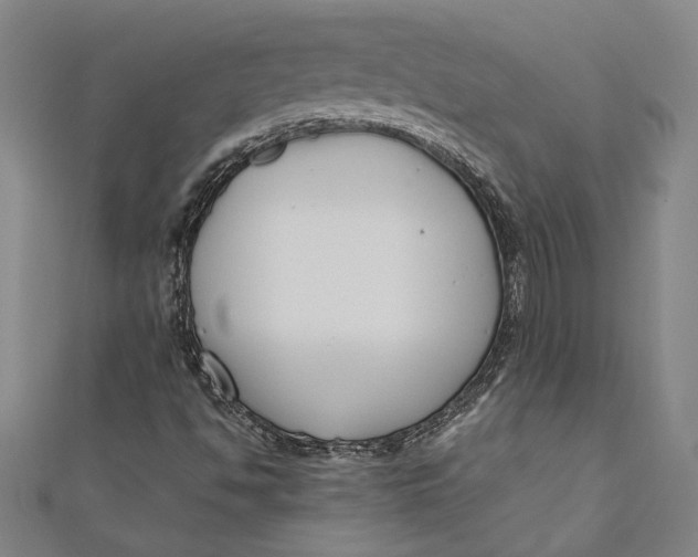 X0000111191494200907221058