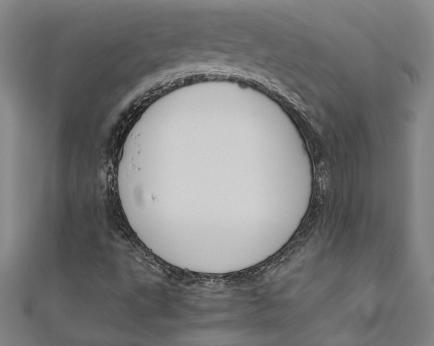 X0000111191495200907221058