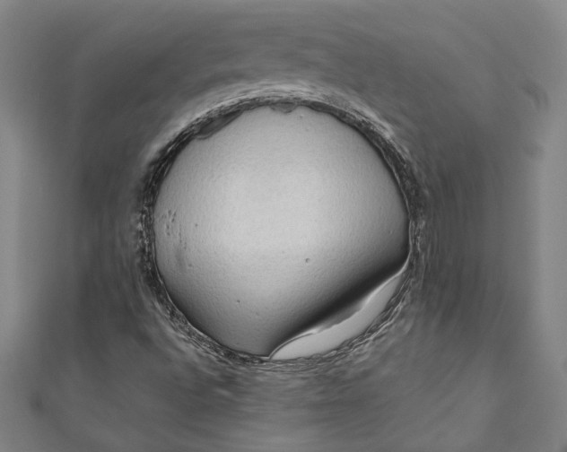 X0000111191496200907221058