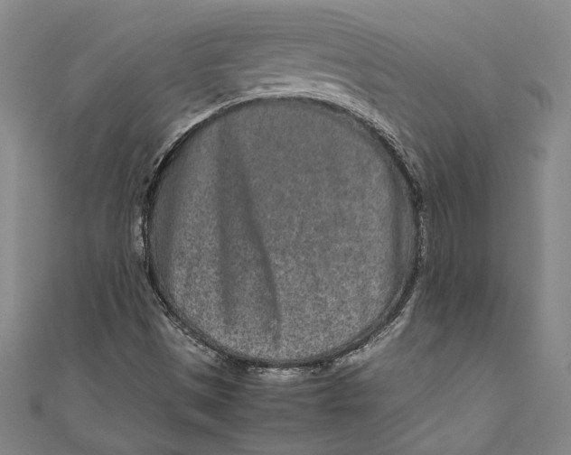 X0000111191497200907221058