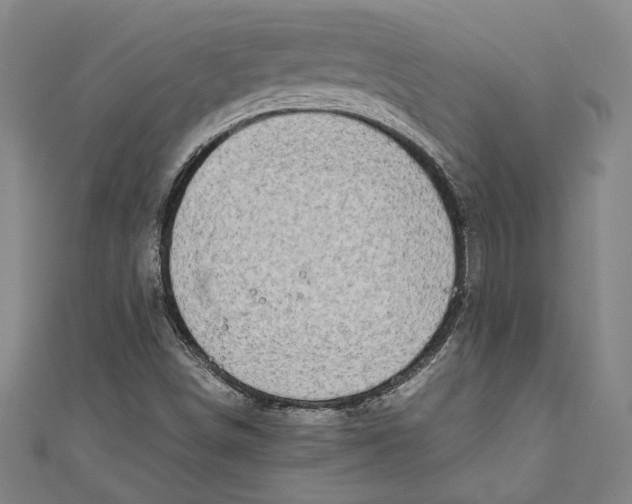 X0000111191498200907221058