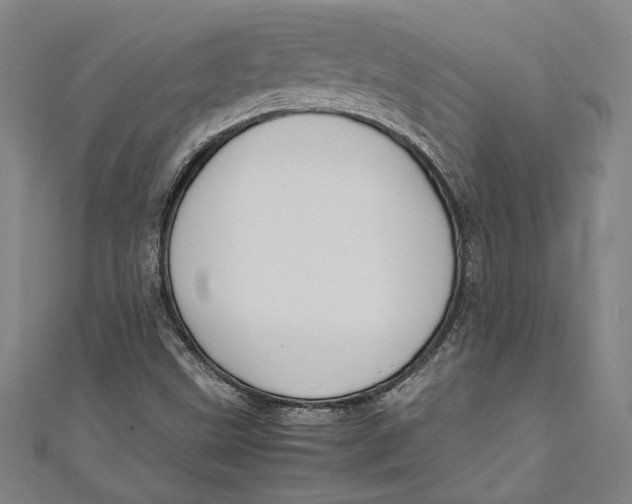 X0000111191499200907221058