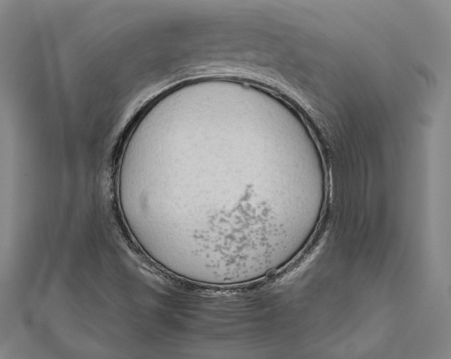 X0000111191501200907221058