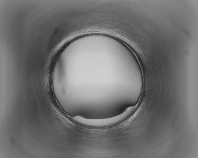 X0000111191502200907221058