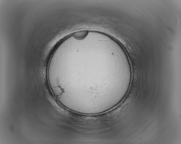 X0000111191503200907221058