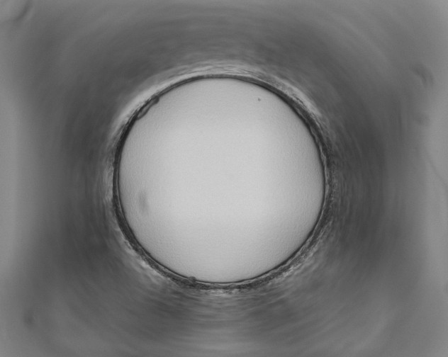 X0000111191504200907221058