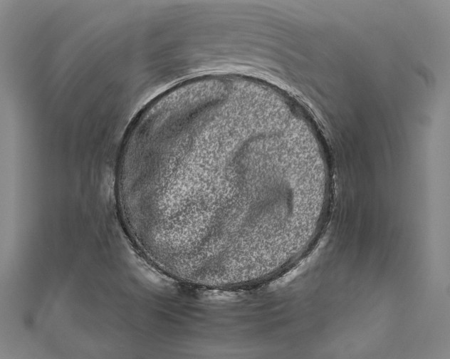 X0000111191505200907221058