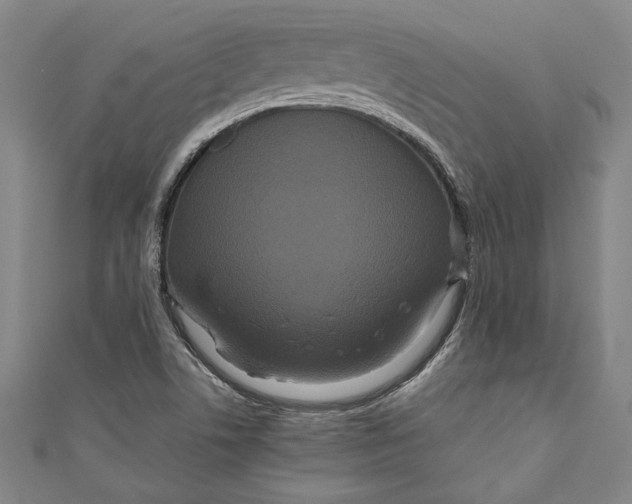 X0000111191506200907221058