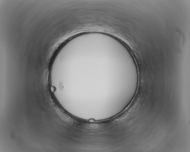 X0000111191507200907221058