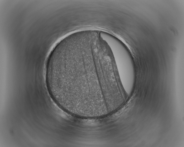 X0000111191508200907221058