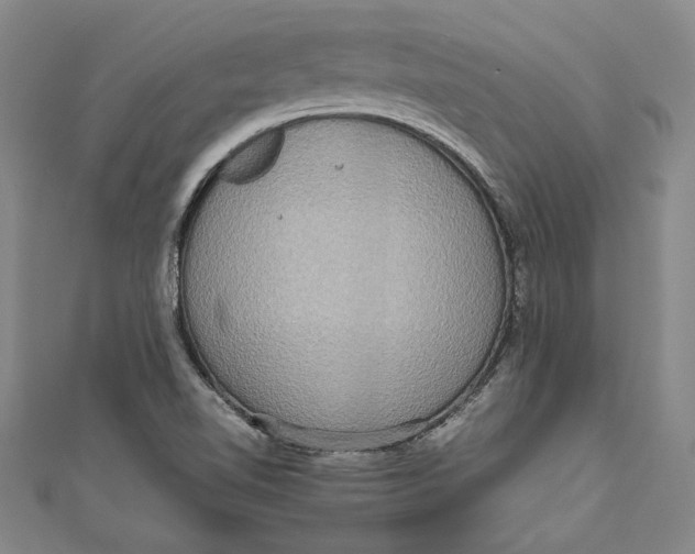 X0000111191510200907221058