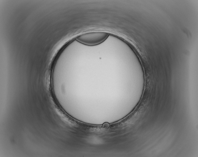 X0000111191511200907221058