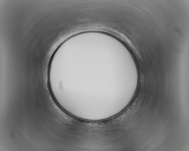 X0000111191512200907221058