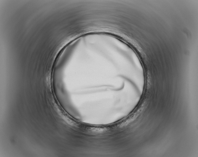 X0000111191513200907221058