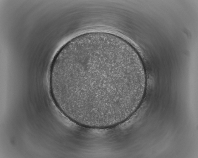 X0000111191514200907221058