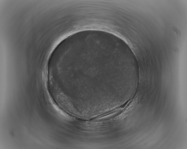 X0000111191515200907221058