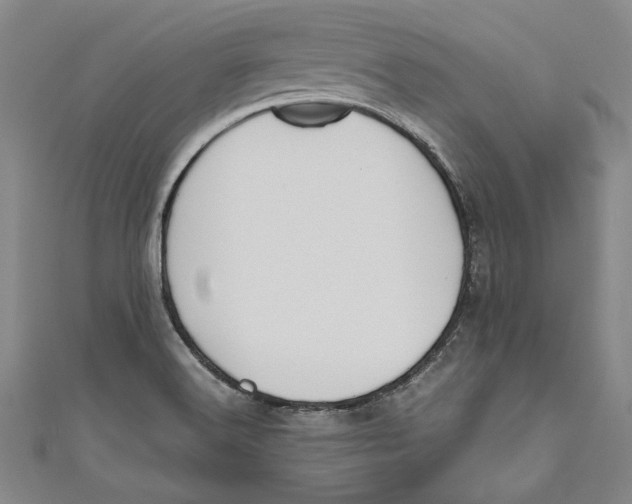 X0000111191516200907221058