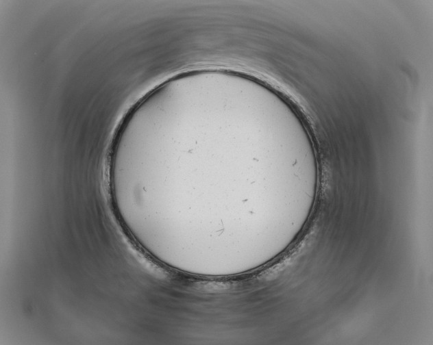 X0000111191517200907221058