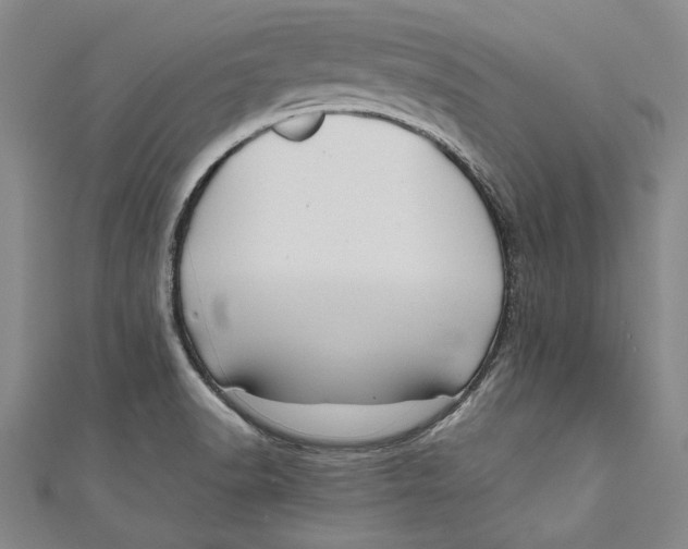 X0000111191518200907221058