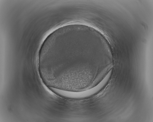 X0000111191519200907221058