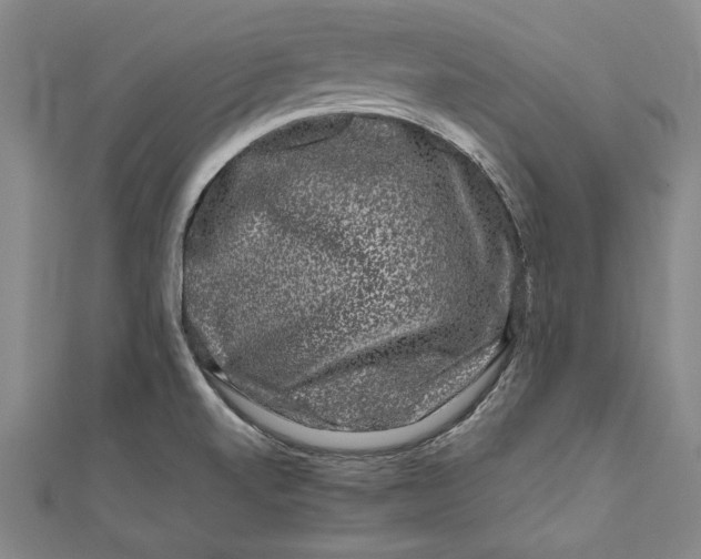 X0000111191520200907221058