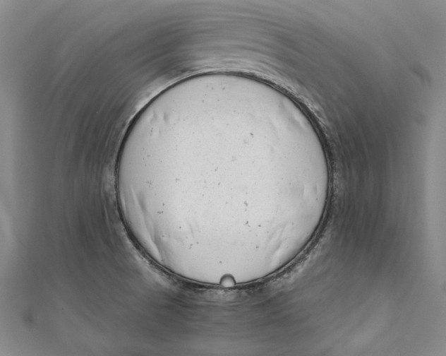 X0000111191521200907221058