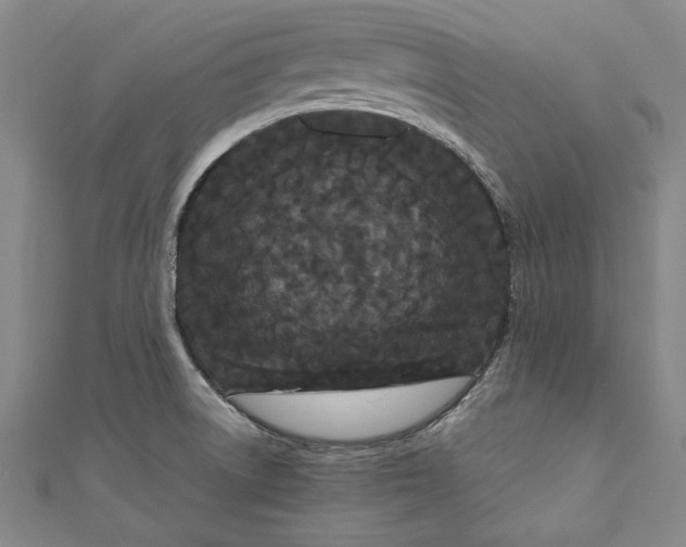 X0000111191522200907221058