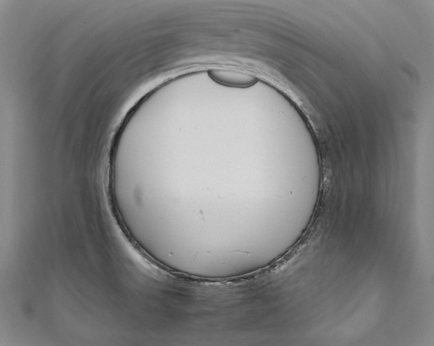 X0000111191523200907221058