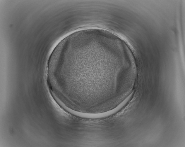 X0000111191524200907221058