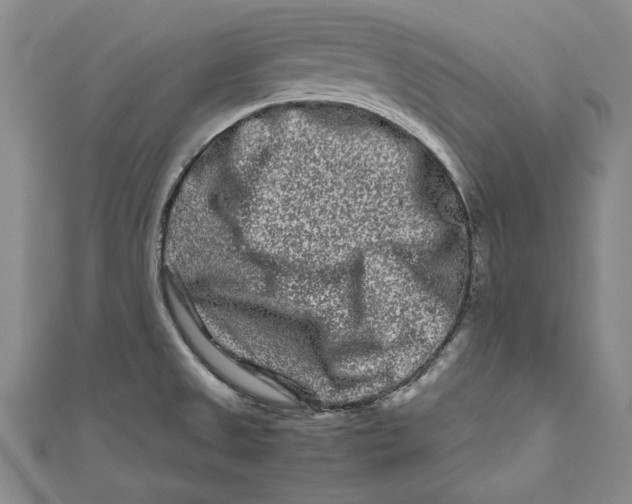 X0000111191525200907221058