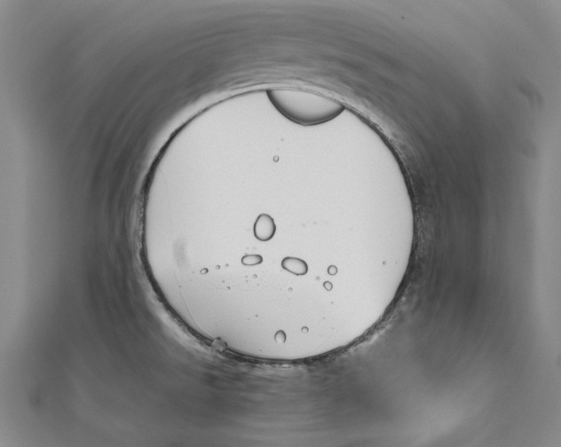 X0000111191526200907221058